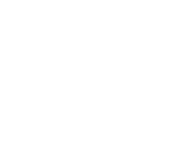 Haven logo